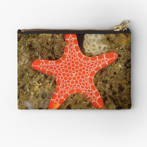Red Brick Sea Star Zipper Pouch