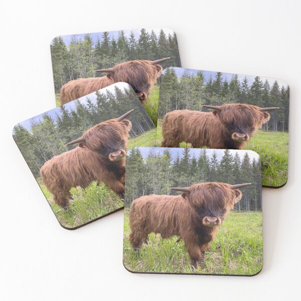 Item preview, Scottish Highland Cattle Calf 2860 designed and sold by SaarelaHighland.