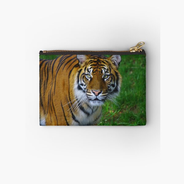 Item preview, Tiger eyes designed and sold by Dave Parrish Photography.