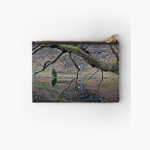 Item preview.