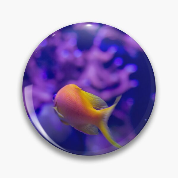 Item preview, Goldfish in aquarium designed and sold by lena-maximova.