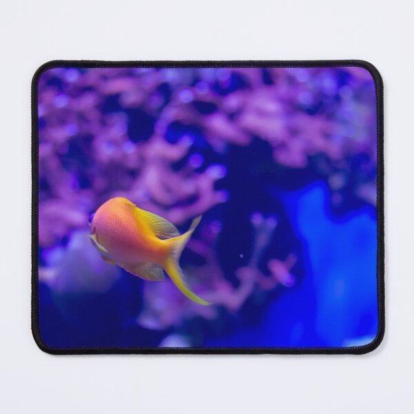 Item preview, Goldfish in aquarium designed and sold by lena-maximova.