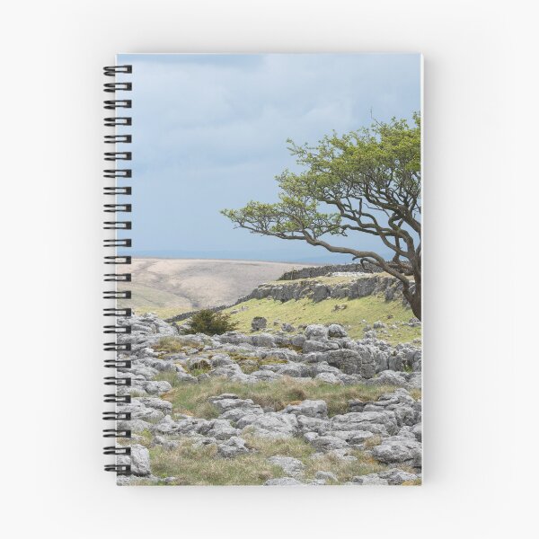 Item preview, Lone Tree by Goredale Scar / Malham designed and sold by ccullen222.