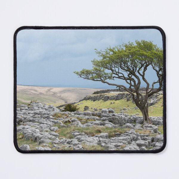 Item preview, Lone Tree by Goredale Scar / Malham designed and sold by ccullen222.