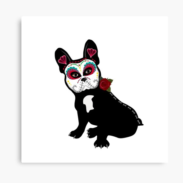 Frenchie Black Sugar Skull Canvas Print