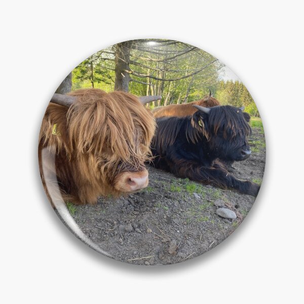 Artikelvorschau, Scottish Highland Cattle Calves 2863 entworfen und verkauft von SaarelaHighland.