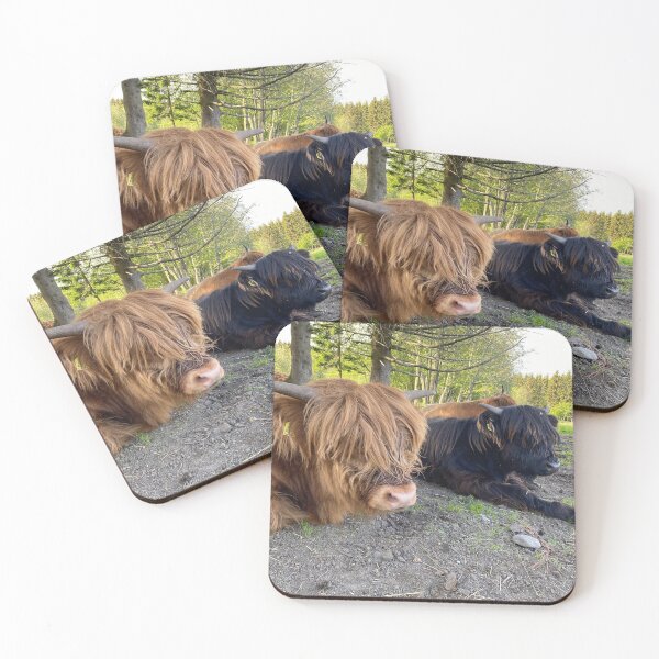 Item preview, Scottish Highland Cattle Calves 2863 designed and sold by SaarelaHighland.