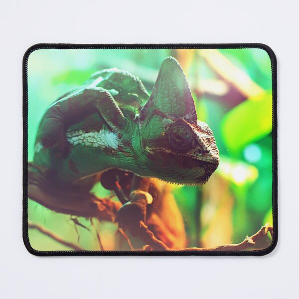 Item preview, Сhameleon sitting on a tree branch designed and sold by lena-maximova.