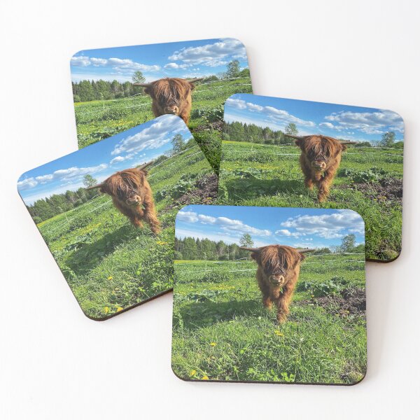 Item preview, Scottish Highland Cattle Calf 2866 designed and sold by SaarelaHighland.