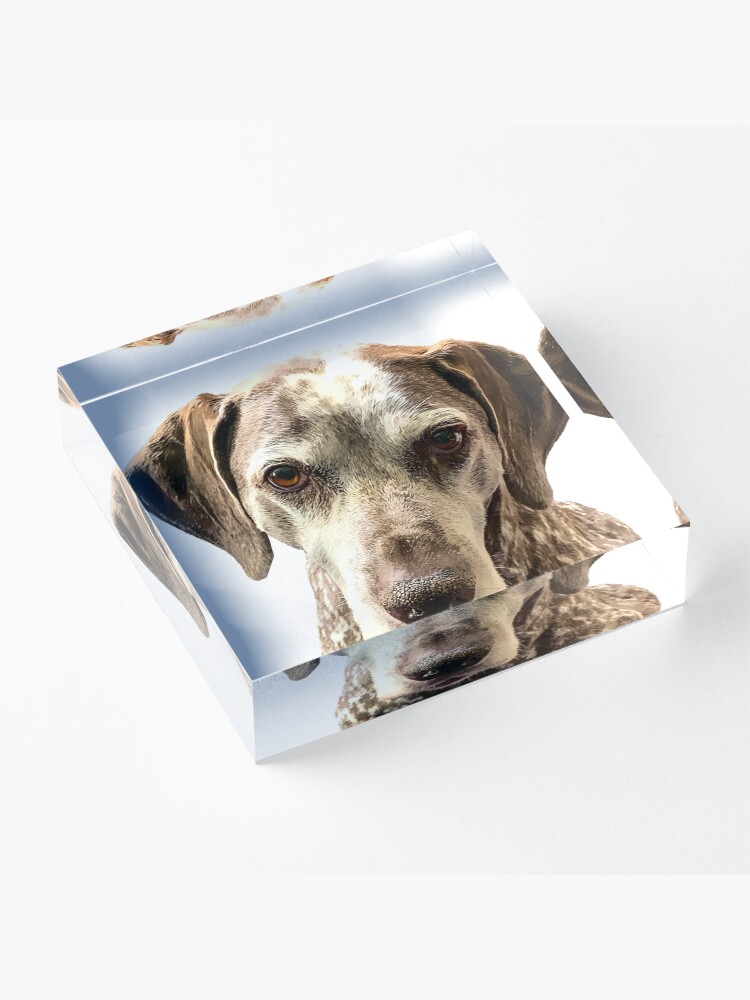 Alternate view of SAMMY Acrylic Block