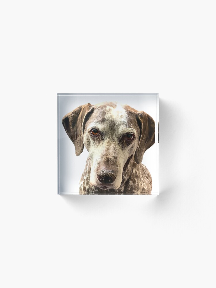 Alternate view of SAMMY Acrylic Block