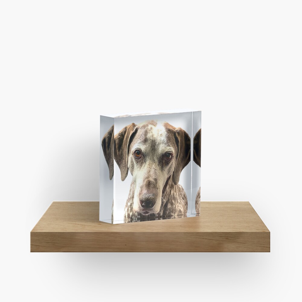 SAMMY Acrylic Block