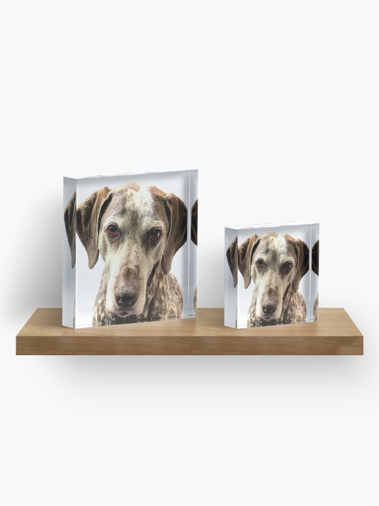 Alternate view of SAMMY Acrylic Block