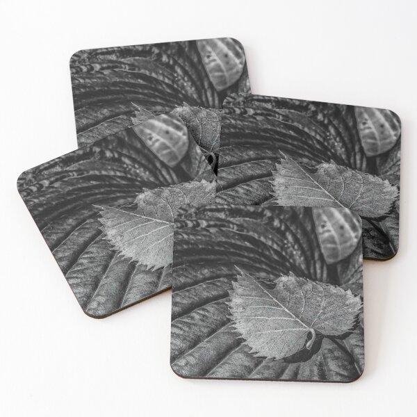 Item preview, Still life designed and sold by Jean-François Dupuis.