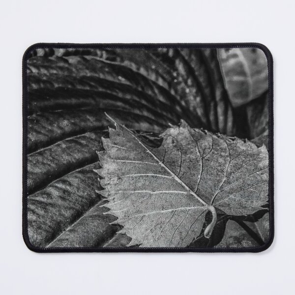 Item preview, Still life designed and sold by Jean-François Dupuis.