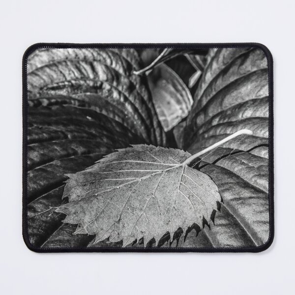 Item preview, Leaf designed and sold by Jean-François Dupuis.