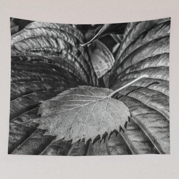 Aperçu de l'œuvre Leaf créée et vendue par Jean-François Dupuis.