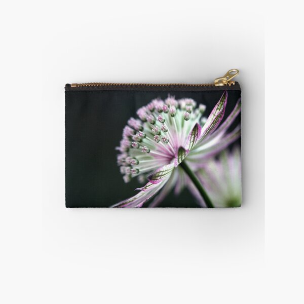 Item preview, Astrantia designed and sold by Cristina Rossi.