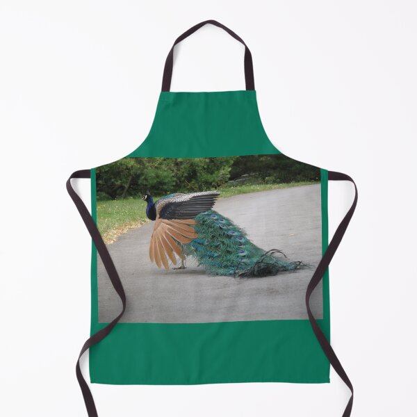 Item preview, Peacock Strutting along a Path Photograph designed and sold by naturegallery.