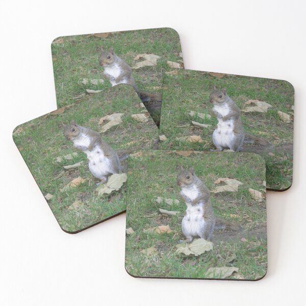 Item preview, Female Grey Squirrel with Guilty Face Photograph designed and sold by naturegallery.
