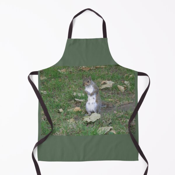 Item preview, Female Grey Squirrel with Guilty Face Photograph designed and sold by naturegallery.