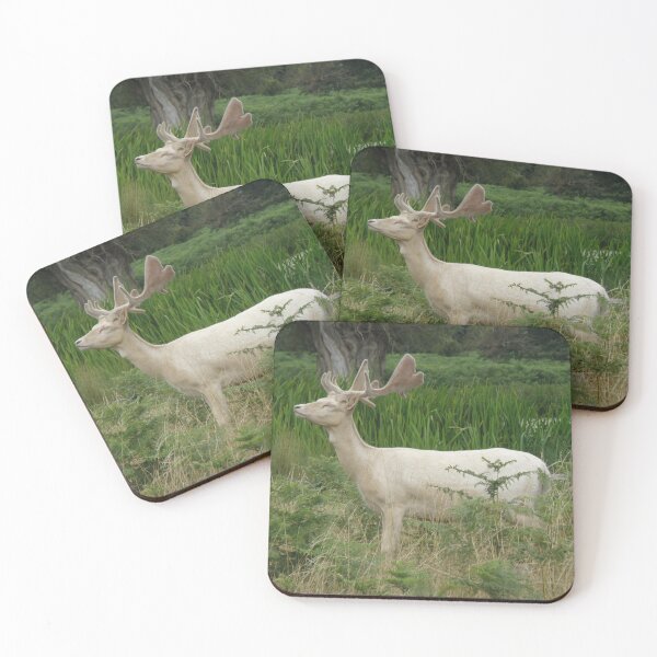 Item preview, Elegant White Fallow Deer Stag Photograph designed and sold by naturegallery.