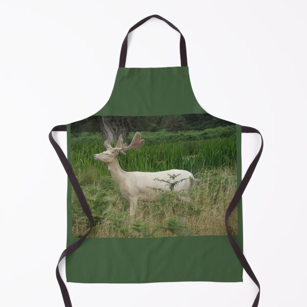 Item preview, Elegant White Fallow Deer Stag Photograph designed and sold by naturegallery.