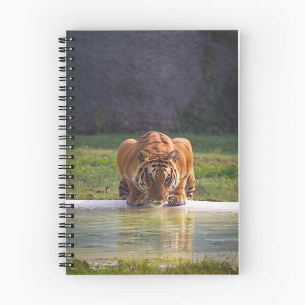 Item preview, Big Tiger Cat Drinking Water designed and sold by TheWildFlix.