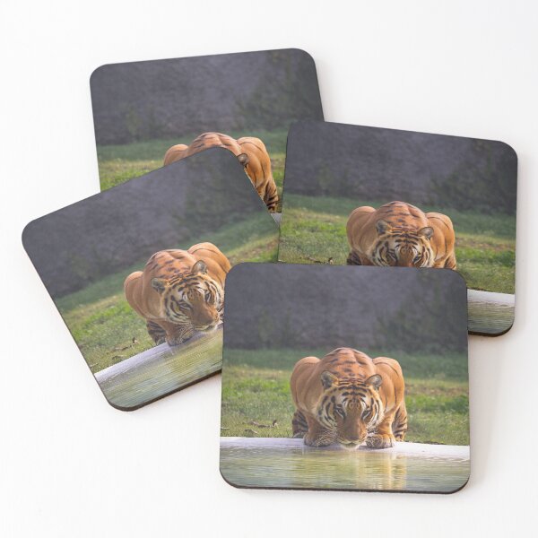 Item preview, Big Tiger Cat Drinking Water designed and sold by TheWildFlix.