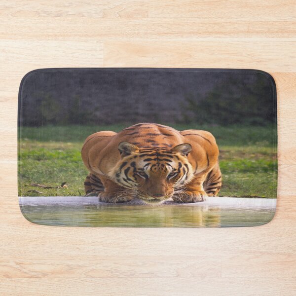 Item preview, Big Tiger Cat Drinking Water designed and sold by TheWildFlix.