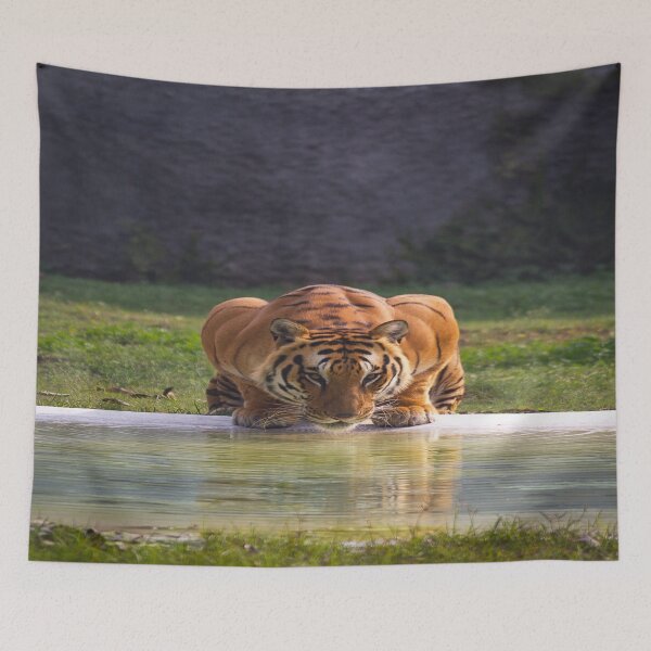 Item preview, Big Tiger Cat Drinking Water designed and sold by TheWildFlix.