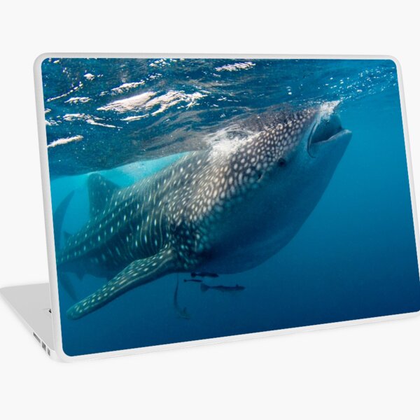 Whaleshark Laptop Skin