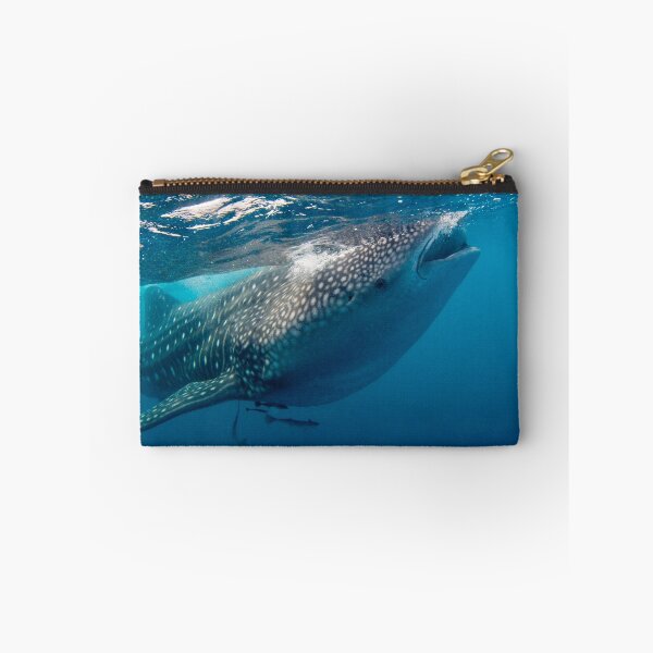 Item preview, Whaleshark designed and sold by Carlos Villoch.