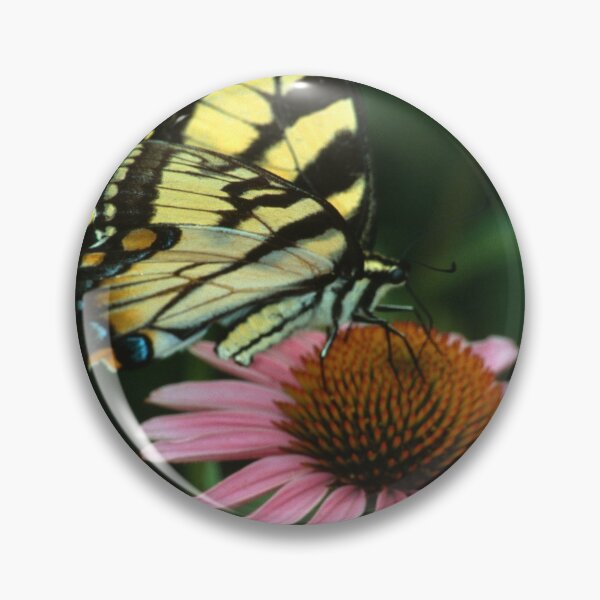 Item preview, Swallowtail on Echinacea designed and sold by Bill Spengler's Photographic Thoughts.