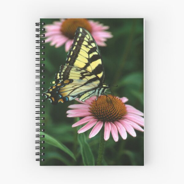 Item preview, Swallowtail on Echinacea designed and sold by Bill Spengler's Photographic Thoughts.