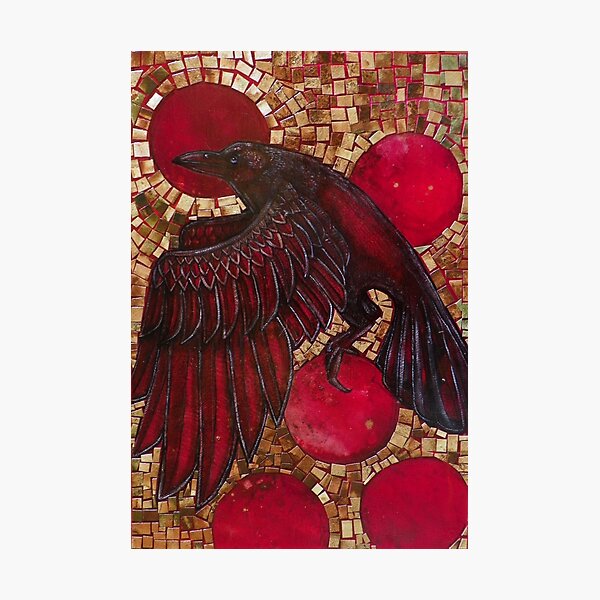 Corvus Photographic Print
