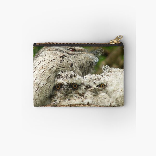 Item preview, Tawny Fromouths designed and sold by stevealder.