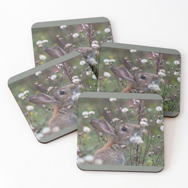 Item preview, Wild rabbit amongst the cotton grass designed and sold by ClaireChown.