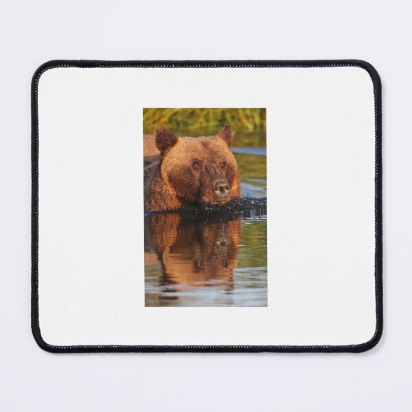Item preview, Bear Crossing ! designed and sold by Anthony Goldman.