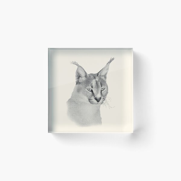 Item preview, Caracal Wild Cat African Wildlife designed and sold by Scotch Macaskill.