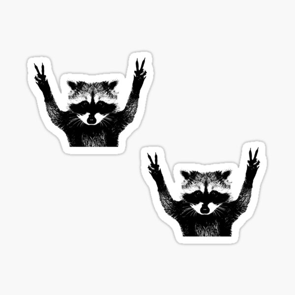 NSS Raccoon Rock Sticker