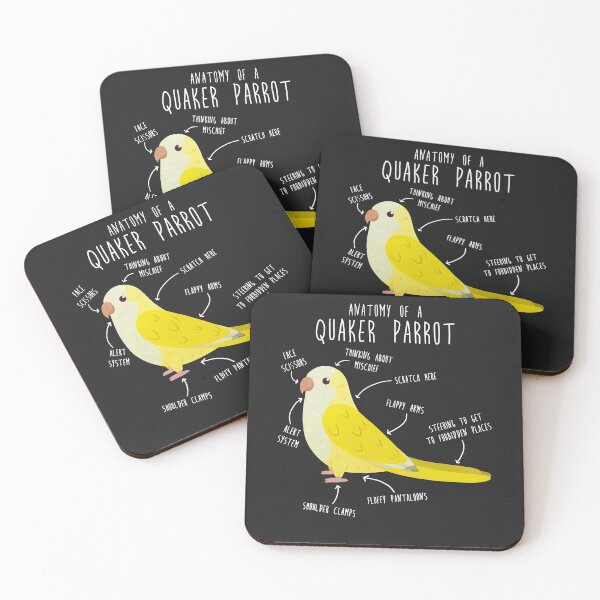 Item preview, Anatomy of a Lutino Quaker Parrot designed and sold by Clara Hollins.