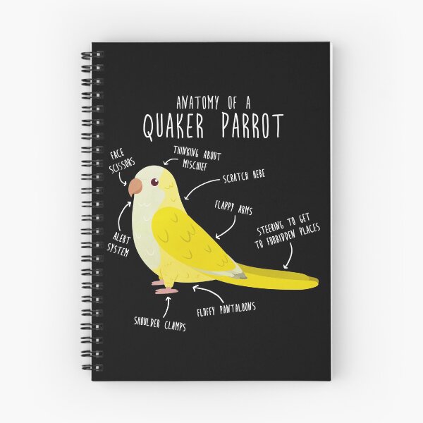 Item preview, Anatomy of a Lutino Quaker Parrot designed and sold by Clara Hollins.