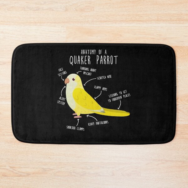 Item preview, Anatomy of a Lutino Quaker Parrot designed and sold by Clara Hollins.