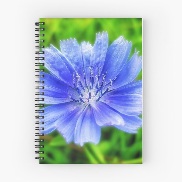Item preview, Cornflower, British Wildflower (#295) designed and sold by phutball.