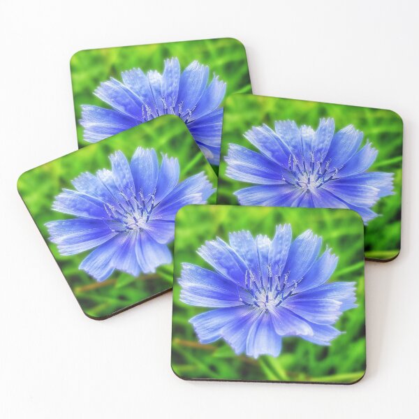 Item preview, Cornflower, British Wildflower (#295) designed and sold by phutball.