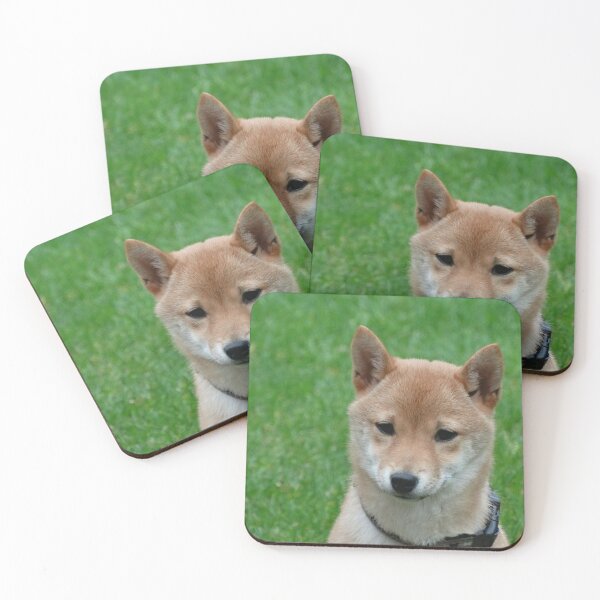 Item preview, Shiba Inu designed and sold by JBaystro.
