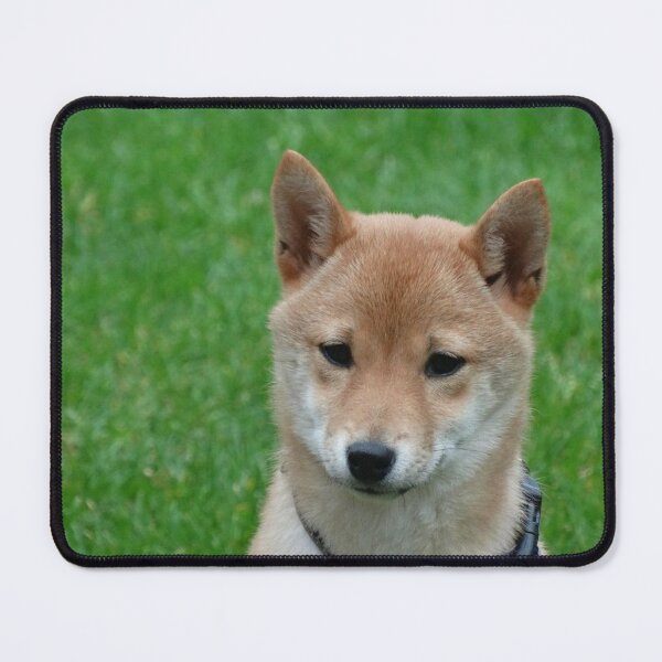 Item preview, Shiba Inu designed and sold by JBaystro.