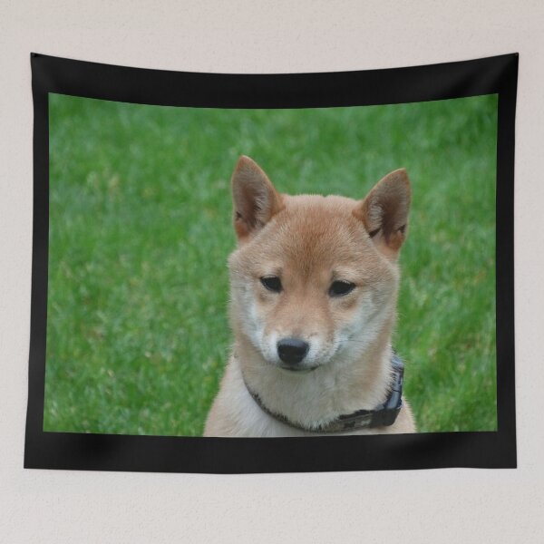Item preview, Shiba Inu designed and sold by JBaystro.