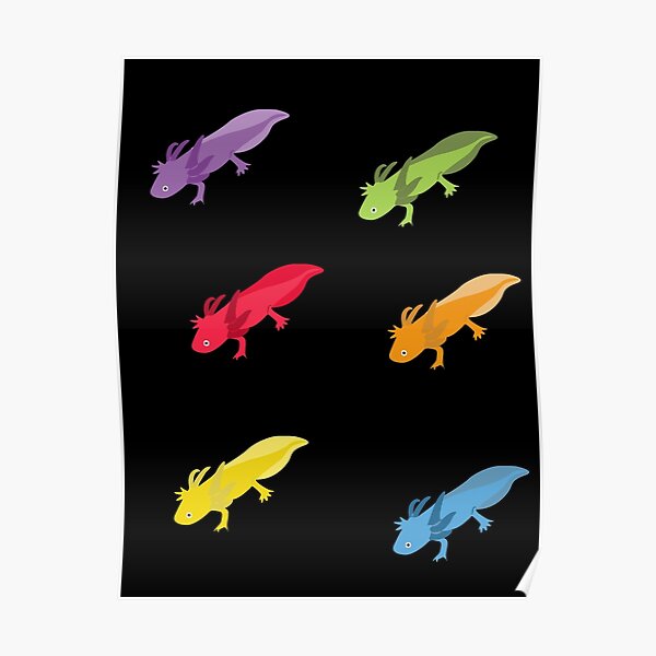 Rainbow Axolotl Poster For Sale By Creature Love Redbubble